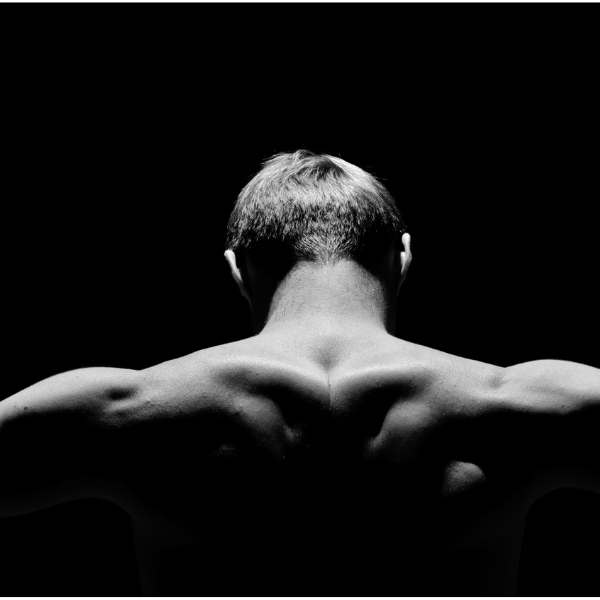 back of man with muscular shoulders from testosterone therapy